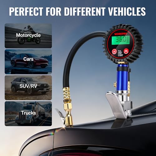 WORKPRO 12PCS Digital Tire Pressure Gauge with Inflator, 250 PSI, Heavy Duty Air Compressor Attachments with Storage Bag, Tire Gauge with Brass Air Chuck and Rubber Hose for Vehicles and Inflatables