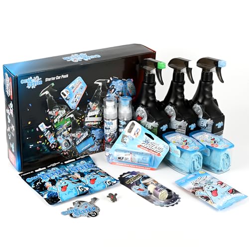 Car Cleaning Kit - Car Accessories for Interior and Exterior Cleaning, Glass Cleaner, Car Wipes, Auto Essentials - size: Starter Kit