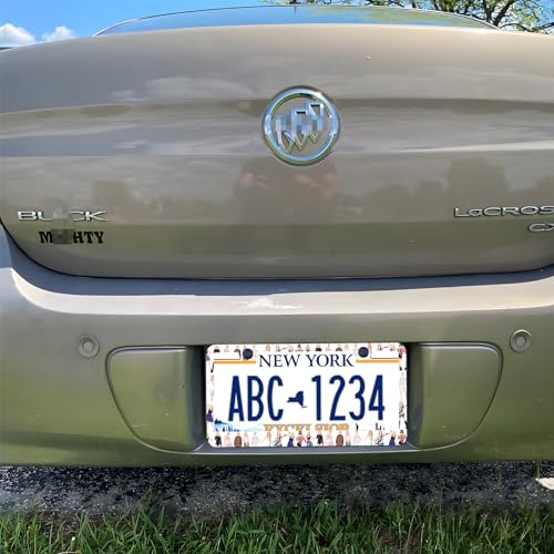 Pop Singer License Plate Frames, 2 Pack Album Inspired Music Lover Fans Gift Car Plate Frame, Stainless Steel License Plate Holders Covers with Free Screws Fasteners Caps (Pop Singer) - color: Pop Singer