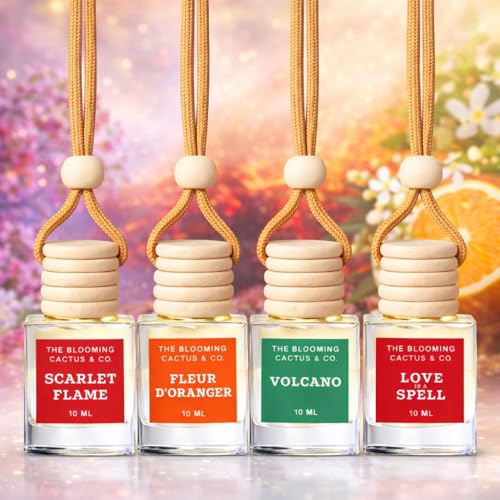 4 Pack Air fresheners | Long lasting car air fresheners, Hand-made in USA | Small room diffuser | Small Business Woman Owned. (10 ml Delightful & Elegant Pack Mix) - style: 10 ml Delightful & Elegant Pack Mix