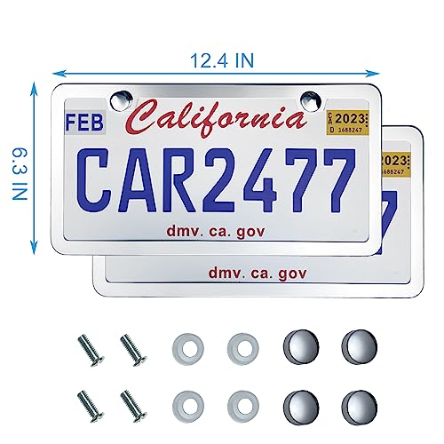 lengnoyp Solid Silver License Plate Frames 2 Pack, 2 Holes Rust-Proof License Plate Holder, Universal Car Stainless Steel License Plate Frame for Women & Man (Screws & Chrome Caps) by Lengnoyp