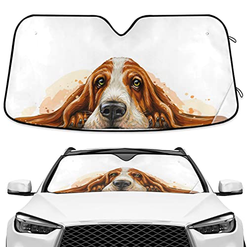 Basset Hound Windshield Sun Shade Basset Hound Sunshade Auto Blocks UV Rays Visor Protector Funny Dog Accordion Folding Sun Reflector Auto Sunshade for Car Truck SUV to Keep Your Vehicle Cool - color: B06