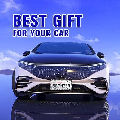 Plant Stem Spines License Plate Frame Rose Roots Floral Art License Plate Holders Funny Auto Accessory Bracket Stainless Steel License Plate Frames with Screws for Women Men 6x12 Inch 4 Holes - color: Plant Stem Spines