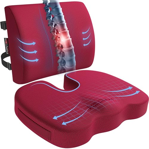 FORTEM Seat Cushion, Office Chair Cushion, Lumbar Support Pillow for Office Chair, Memory Foam Sciatica Coccyx Tailbone Pressure Pain Relief, Car Sitting Pad, Washable Non Slip - color: Red Mesh, size: Large