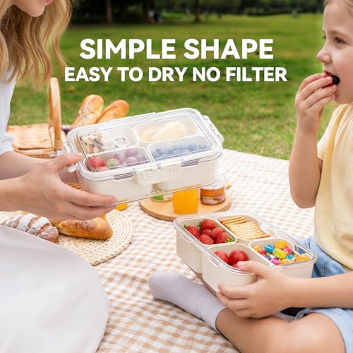 2 Pack Small Snack Box Container with Lid, 4 Compartment Snack Containers for Kids & Adults, Portable Snack Tray Organizer for School Lunch, Work, Beach,Travel & Picnic