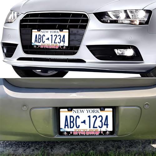 Scream Ghost Funny Hilarious Skull Face No You Hang Up License Plate Frames, 2 Pack Car Plate Frame, Stainless Steel License Plate Holders Covers with Free Screws Fasteners Caps (No You Hang Up) - color: No You Hang Up