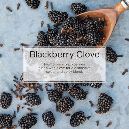 LITTLE TREES Car Air Freshener | Hanging Tree Provides Long Lasting Scent for Auto and Home | 24 Air Fresheners |Blackberry Clove - color: Blackberry Clove