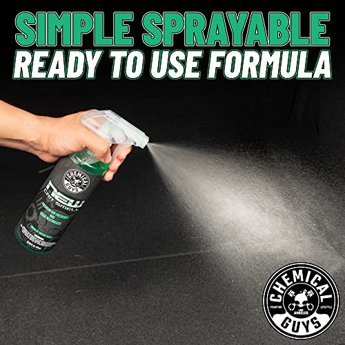 Chemical Guys New Car Smell Air Freshener and Premium Odor Eliminator Refreshes & Neutralizes Odors, Great Car Fresheners for Trucks, SUVs, RVs, and More - 16 oz - size: 16 Fl Oz (Pack of 1), style: NEW CAR 16 oz