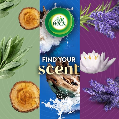 Air Wick Scented Oils 0+10 Sweetgrass & Sandalwood