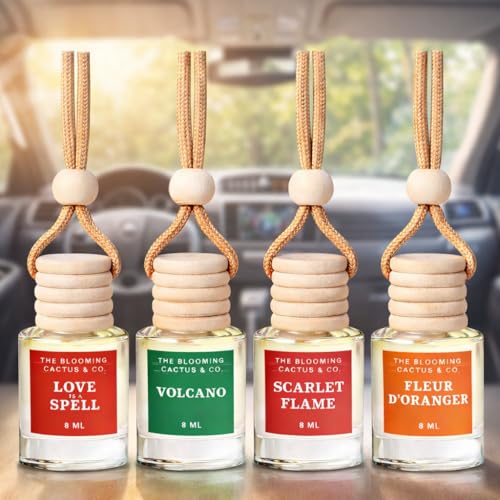 4 Pack Air fresheners | Long lasting car air fresheners, Hand-made in USA | Small room diffuser | Small Business Woman Owned. (8 ml Delightful & Elegant Pack Mix) - style: 8 ml Delightful & Elegant Pack Mix