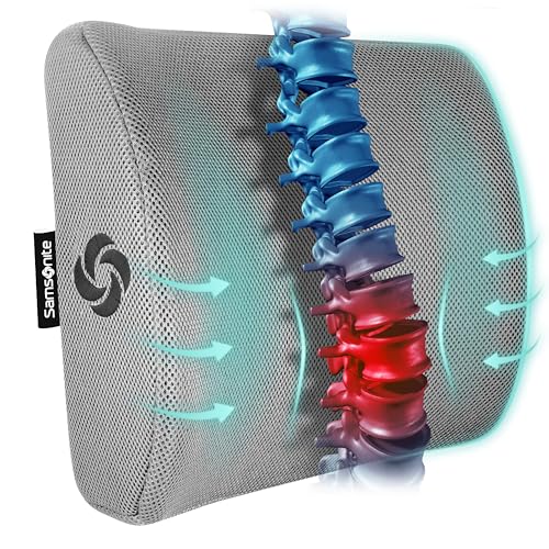 Samsonite Memory Foam Lumbar Support Pillow for Office Chair, Gaming Chair & Car Seat Automotive Use, Ergonomic Back Cushion, Work from Home Essentials, Office Essentials for Sitting Comfort, Grey - color: Grey Mesh