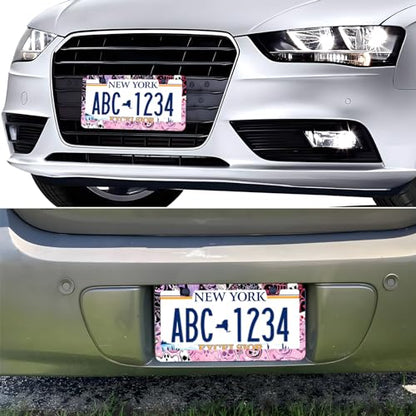 Splicing Skull Ghost Bat License Plate Frames, 2 Pack Halloween Horror Car Plate Frame, Stainless Steel License Plate Holders Covers with Free Screws Fasteners Caps (Skeleton Ghost Bat) - color: Skeleton Ghost Bat