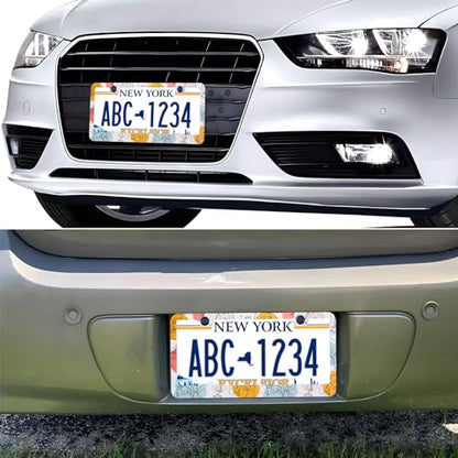Boho Abstract Colorful Woman Line Face License Plate Frames, 2 Pack Abstract Faces Car Plate Frame, Stainless Steel License Plate Holders Covers with Free Screws Fasteners Caps (Colorful Face) - color: Colorful Face