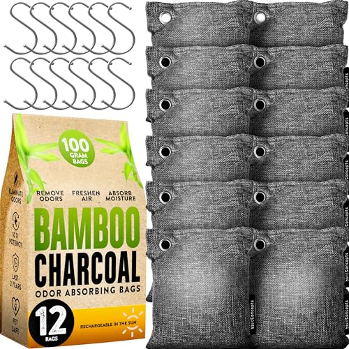 Charcoal Odor Absorber for Strong Odor (Large, 12 Pack, 100g each), Perfect for Smelly Shoes, Bamboo Charcoal Air Purifying Bag, Activated Charcoal Odor Absorber for Closet, Shoe, Car, Odor Deodorizer - style: 12 x 100g