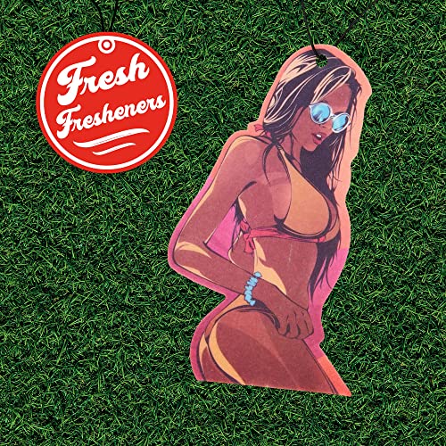 Funny Naughty Unique Car Air Fresheners Scented With Premium Oils By Fresh Fresheners (Mexicana) - color: Mexicana