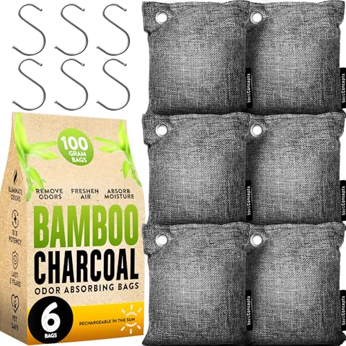 Charcoal Odor Absorber for Strong Odor (6 Pack, 100g each), Bamboo Charcoal Air Purifying Bag, Basement Musty Odor Eliminator Deodorizer, Activated Charcoal Odor Absorber for Closet, Shoe, Car - style: 6 x 100g