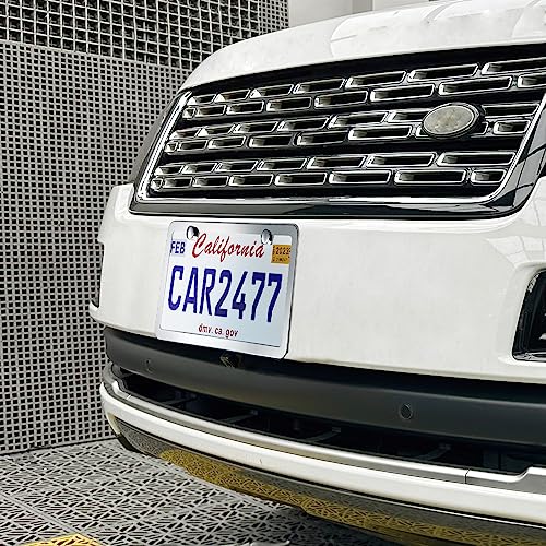 lengnoyp Solid Silver License Plate Frames 2 Pack, 2 Holes Rust-Proof License Plate Holder, Universal Car Stainless Steel License Plate Frame for Women & Man (Screws & Chrome Caps) by Lengnoyp
