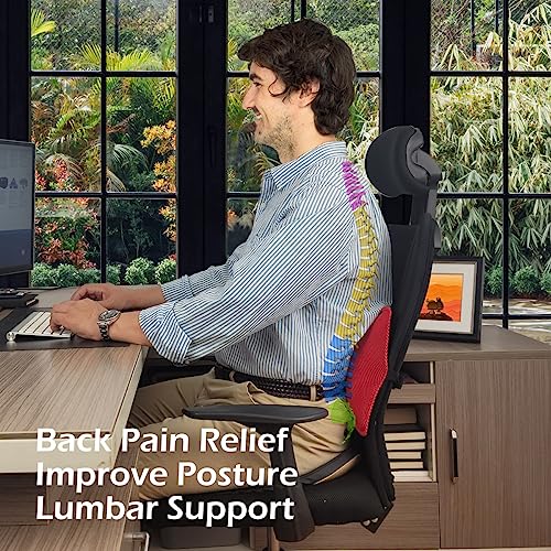 Inflatable Lumbar Support Pillow for Office Chair and Car Seat, Back Support Cushion with Air Pump for Reducing Lower Back Pain