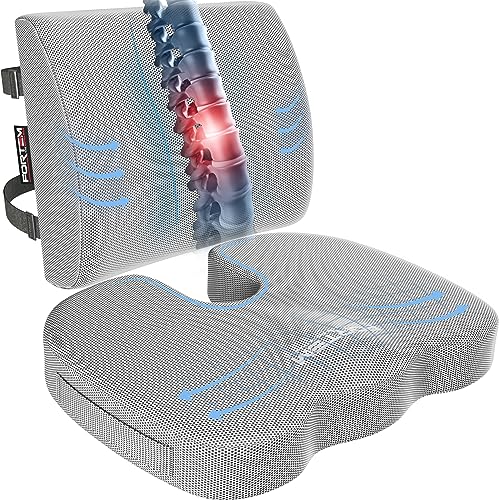 FORTEM Seat Cushion, Office Chair Cushion, Lumbar Support Pillow for Office Chair, Memory Foam Sciatica Coccyx Tailbone Pressure Pain Relief, Car Sitting Pad, Washable Non Slip - color: Grey Mesh, size: Large