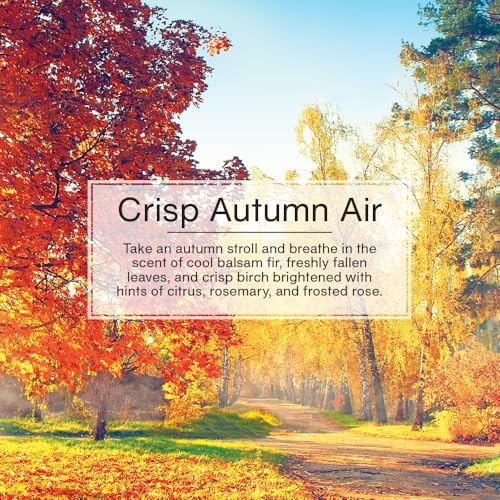 LITTLE TREES Car Air Freshener | Hanging Tree Provides Long Lasting Scent for Auto and Home | Crisp Autumn Air, 24 Air Fresheners - color: Crisp Autumn Air