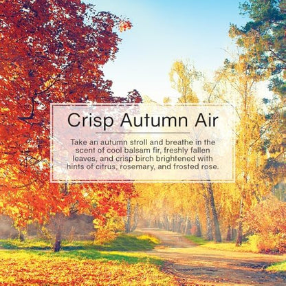 LITTLE TREES Car Air Freshener | Hanging Tree Provides Long Lasting Scent for Auto and Home | Crisp Autumn Air, 24 Air Fresheners - color: Crisp Autumn Air